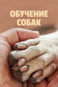Обучение собак (2021)