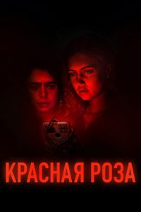 Красная роза (2022)