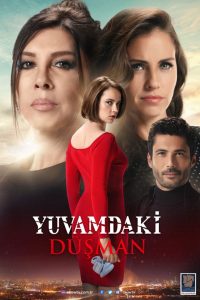 Враг в моем доме (2018)