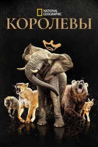 Королевы (2024)