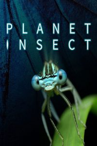 Планета насекомых (2022)