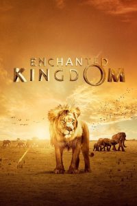 Заколдованное королевство 3D (2014)