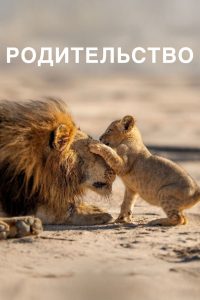 Родительство (2025)