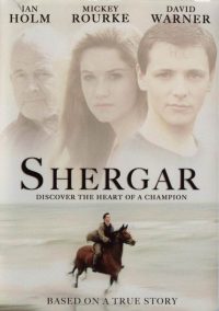Похищение чемпиона (1999)
