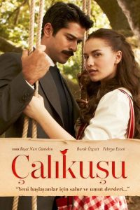 Королёк — птичка певчая (2013)