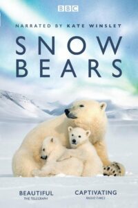 Снежные медведи (2017)