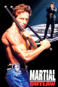 Полицейский вне закона (1993)