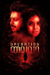 Операция Лайла (2024)