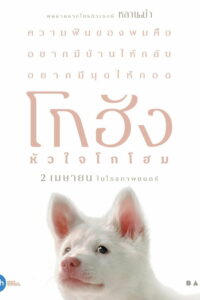 Мой бродячий пес (2026)